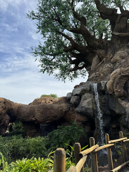 Guía para tu Primer Viaje a Disney World.
