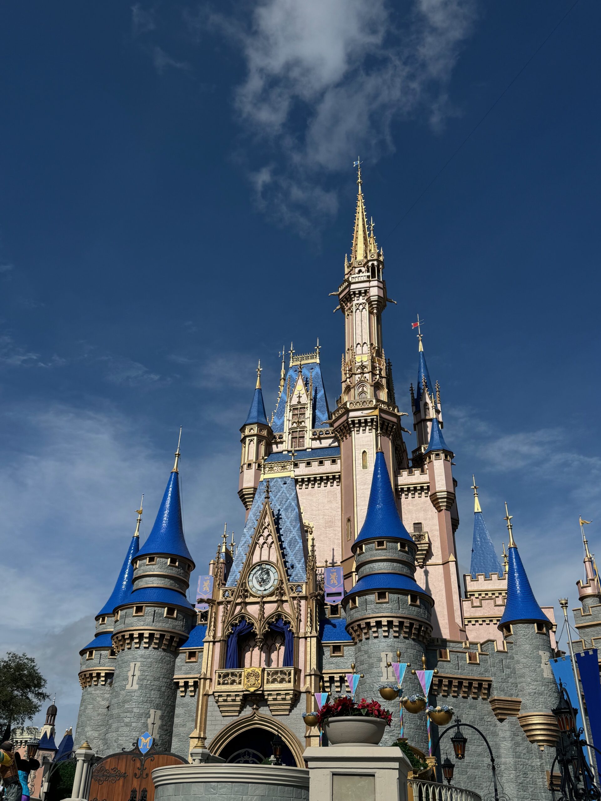 La Guía Completa de Magic Kingdom