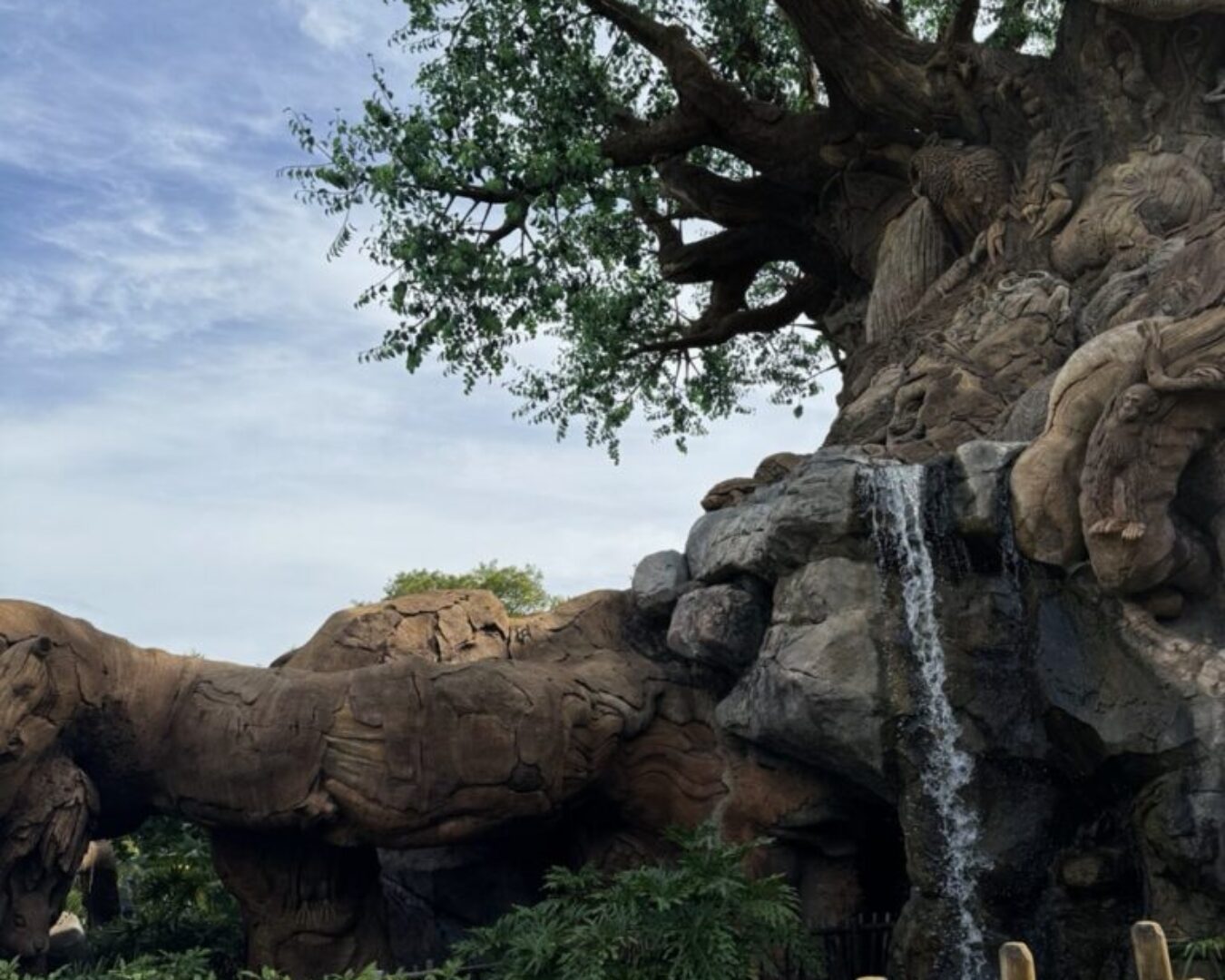 La Guía Completa de Disney’s Animal Kingdom